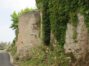 Tour de flanquement de la courtine occidentale du château d’Esvres-sur-Indre, XIIIe siècle ( ?). Cliché Maer Taveira.